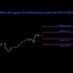 Nifty Bank Nifty Sensex Analysis For 09/12/2024