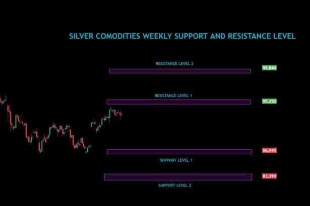 Silver Commodities Weekly Analysis For 09/12/2024 To 13/12/2024